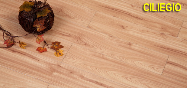 Parquet laminati resistenti